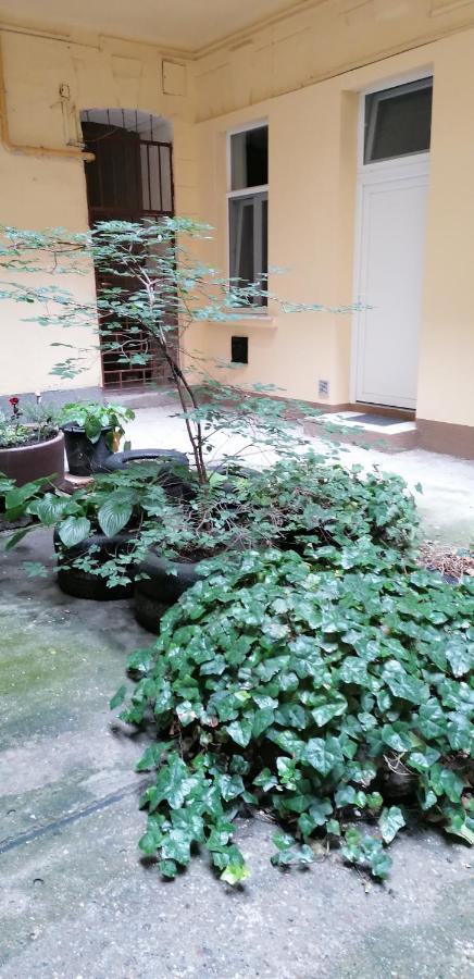 בודפשט Little-Oasis Apartment מראה חיצוני תמונה