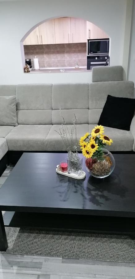 בודפשט Little-Oasis Apartment מראה חיצוני תמונה